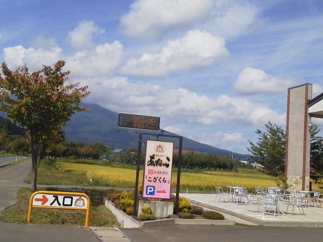 看板_レストランこざくら