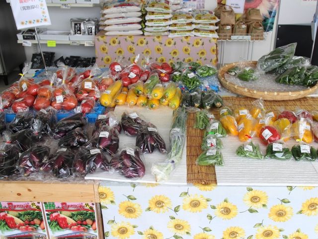 たくさんの野菜_道の駅 サンフラワー北竜