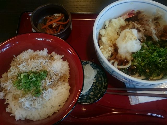 シラス丼と海老天おろしうどん 540円_信州そば 信濃路 鳴神店