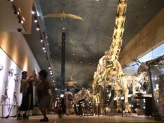 あかりさんの北九州市立いのちのたび博物館への投稿写真1