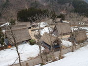 翔太さんの菅沼の投稿写真1