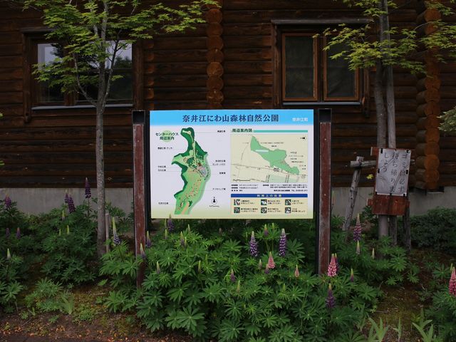 センターハウス_にわ山森林自然公園展望台