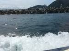 おおちゃんさんの浦富海岸島めぐり遊覧船への投稿写真3