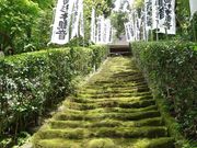 岳さんの杉本寺の投稿写真1