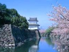 府内城跡の写真1