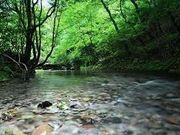 たくーうさんの男池湧水群の投稿写真1