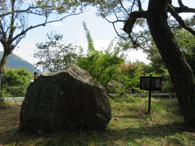 足柄万葉公園 歌碑_足柄万葉公園