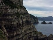 akubi123さんの夜萩円山公園の投稿写真1