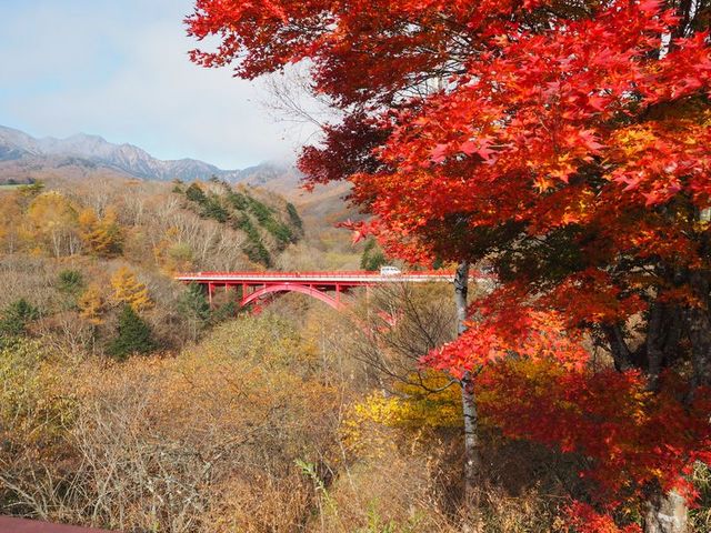 東沢大橋の紅葉_川俣川渓谷