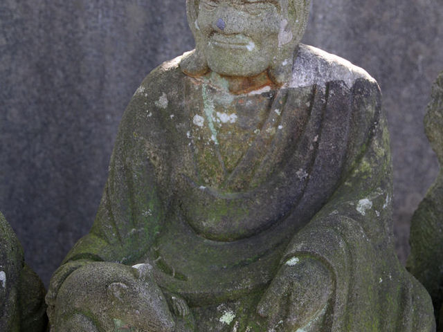なつけば可愛い (縦写真です)_五百羅漢