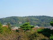 しょうこさんの卯辰山の投稿写真1