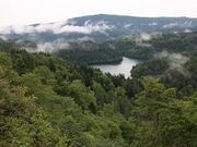 たかちゃんさんのペンケトーの投稿写真1