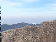 YKさんの大涌谷 駅食堂【旧:大涌谷スカイレストラン】の投稿写真5