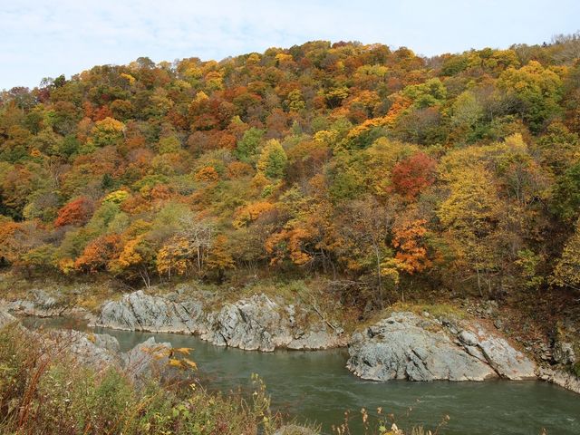 紅葉真っ盛り_神居古潭