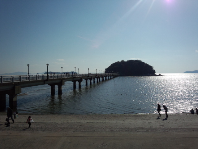 水深は浅いです_潮干狩(竹島海岸)