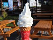 たかちゃんさんの北の森ガーデンの投稿写真3