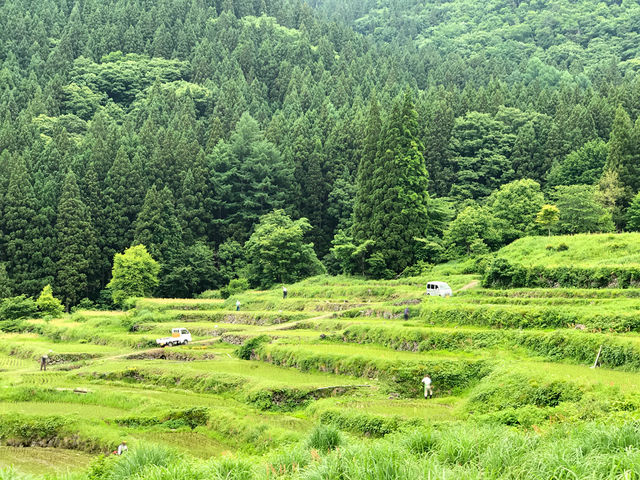 himarayaさんの福島の棚田の投稿写真1