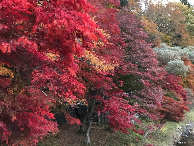紅葉_塩原もの語り館