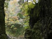 MINAMIさんの三段峡 黒淵渡舟の投稿写真1