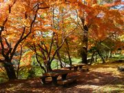 毘沙門さんの福島県立霞ヶ城公園(国指定史跡二本松城跡)の投稿写真1