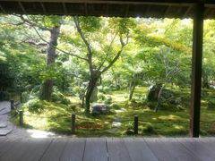 チー婆くんandガスパールくんさんの圓光寺への投稿写真1