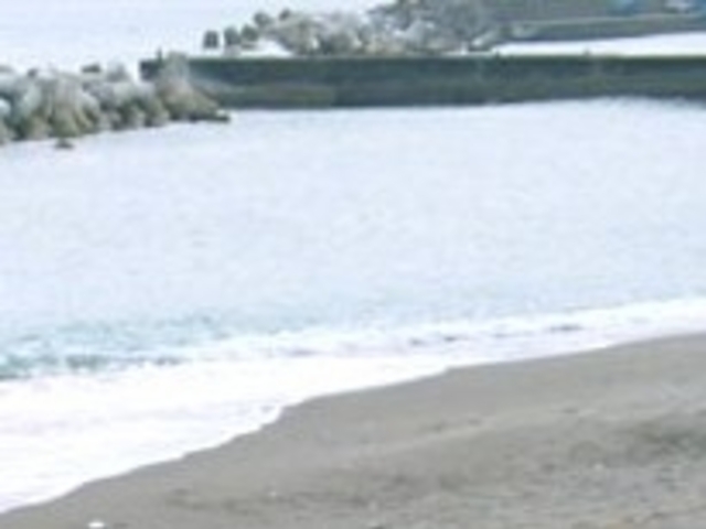 アクセルゼンカイさんの大久海水浴場の投稿写真1