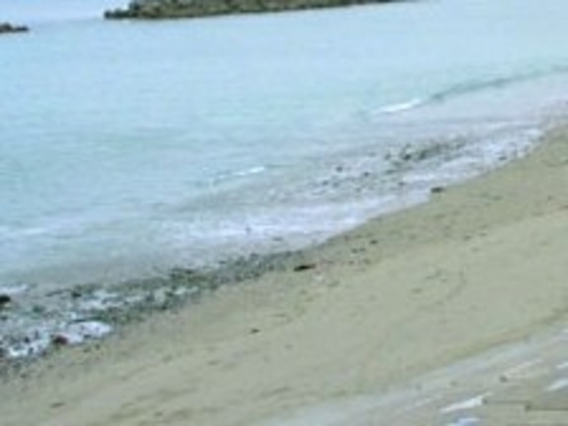 アクセルゼンカイさんの川之浜海水浴場の投稿写真1