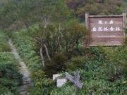 アクセルゼンカイさんの瓶ケ森第2キャンプ場の投稿写真1