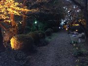 とうたんさんの旧広瀬邸の投稿写真2