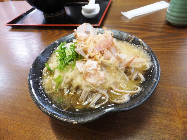 おろしそば(冷)_そば処あおき