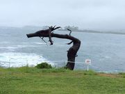 くろさんの岩井崎の投稿写真2