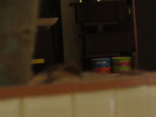うどん屋_うまげなアリオ西新井店