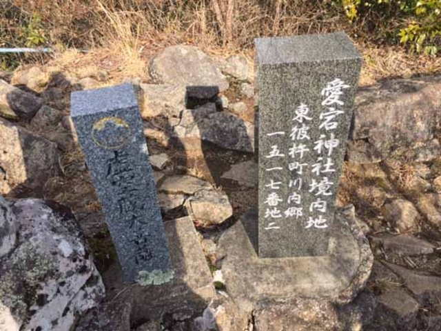 JOEさんの虚空蔵山の投稿写真1