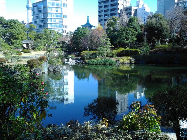 池_旧安田庭園
