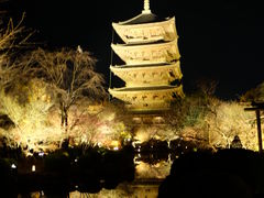 東寺(教王護国寺)の写真1