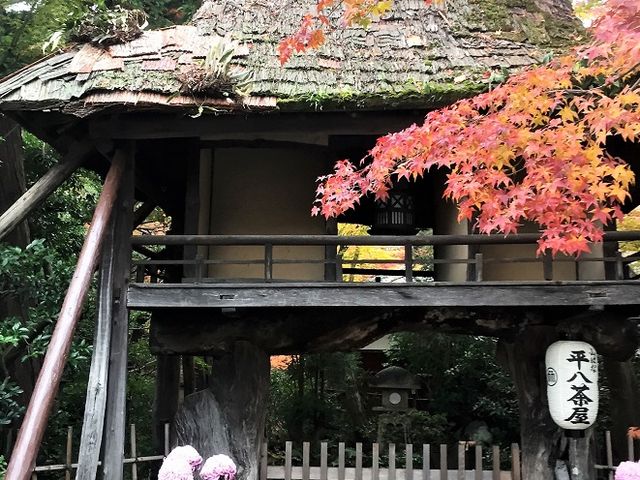 山ばな平八茶屋