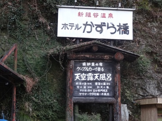 新祖谷温泉 ホテルかずら橋_新祖谷温泉 ホテルかずら橋