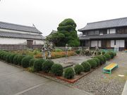 キヨさんの藍住町歴史館藍の館(藍屋敷おくむら)の投稿写真1