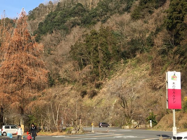 木の花ガルデン_木の花ガルテン 大山店