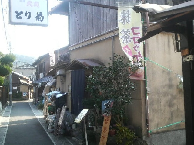 とり菊_とり菊