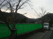 さとけんさんの宇治川畔の桜並木の投稿写真2