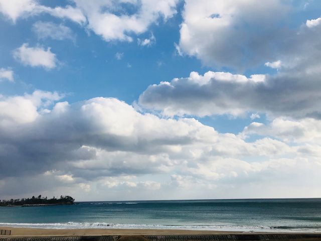 大谷海岸_はまなす海洋館