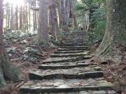 ニイチャンさんの熊野古道 大門坂の投稿写真1