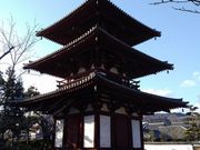 ニイチャンさんの法輪寺の投稿写真1