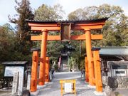こぼらさんの敢国神社の投稿写真1