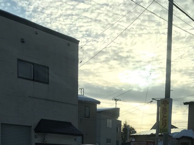 写真_うえはら
