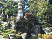 しょうこさんの妙厳寺庭園の投稿写真1