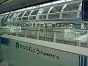 世田谷区等々力の住人さんのハックルベリーフィールドの投稿写真1