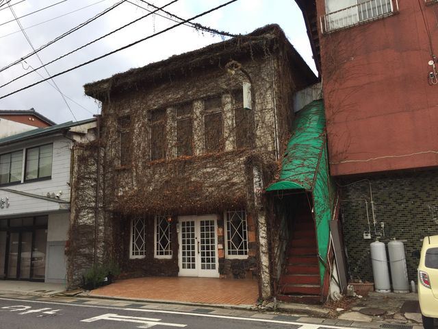 ツタに覆われた外観_チロリン村