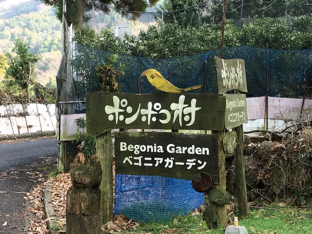 ポンポコ村_ポンポコ村